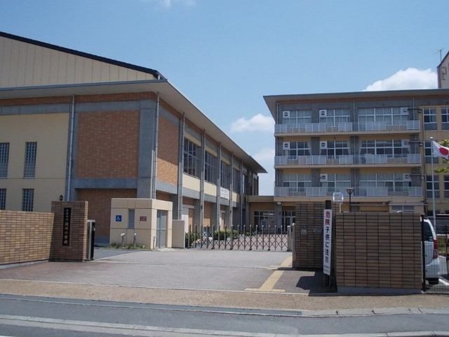 小学校　渋川小学校（小学校）まで845m