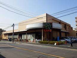 スーパー　ライフ上池台店（スーパー）まで689m