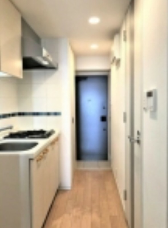 玄関　同仕様写真含む