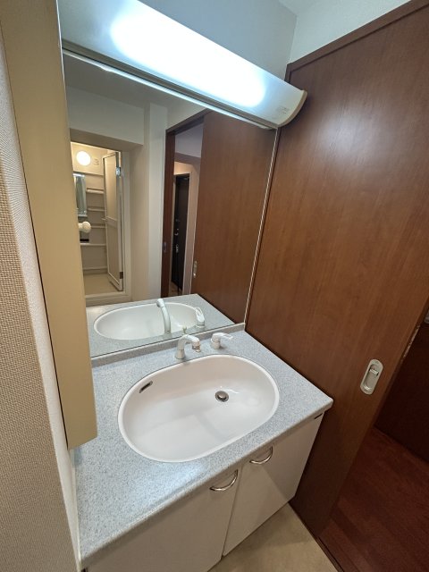 洗面設備　同物件別号室のものです。