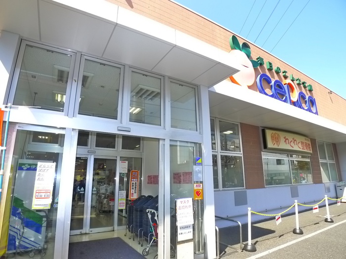 スーパー　セルカ（スーパー）まで249m