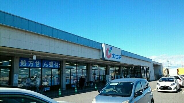 ドラックストア　カワチ薬品若松原店（ドラッグストア）まで550m