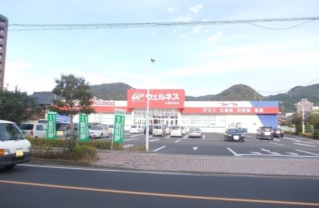 ドラックストア　ウェルネス大田中央店（ドラッグストア）まで800m