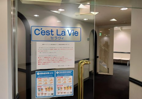 病院　セラヴィ新橋クリニック（病院）まで311m