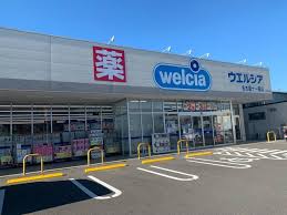 ドラックストア　ウエルシア名古屋十一屋店（ドラッグストア）まで440m