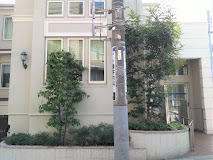 病院　藤井内科クリニック（病院）まで230m