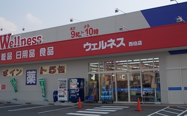 ドラックストア　ウェルネス西伯店（ドラッグストア）まで850m