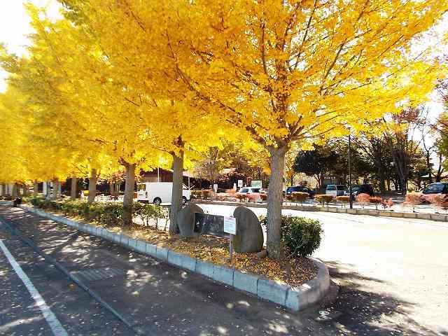 公園　せせらぎ公園（公園）まで1300m