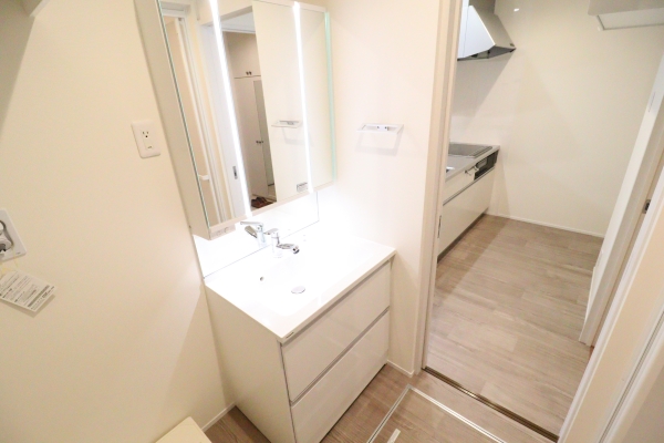 洗面設備　※別号室の写真になります。