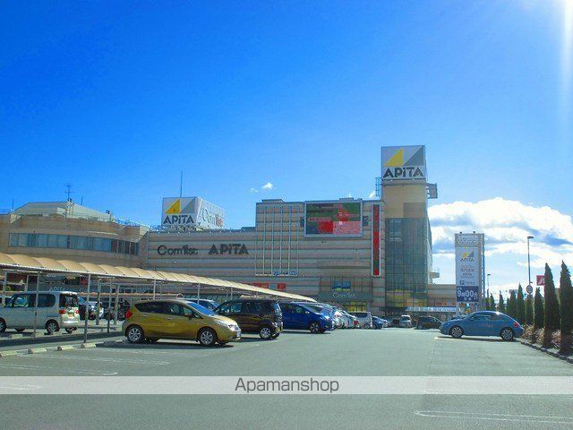 ショッピングセンター　アピタ（ショッピングセンター）まで290m