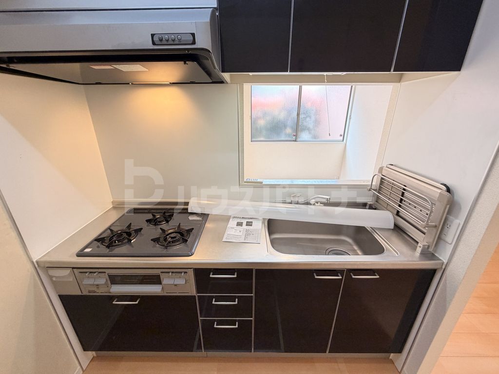 エントランス　庭