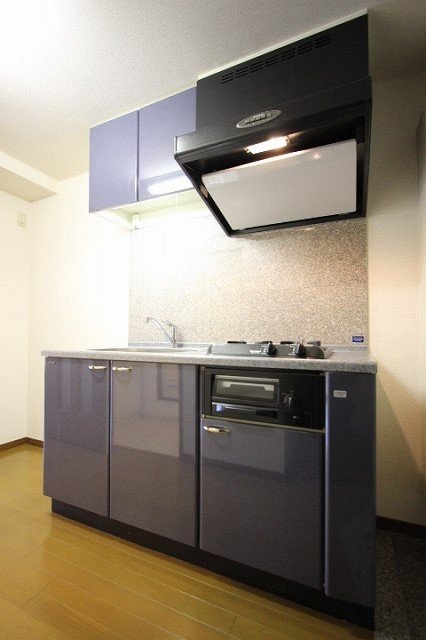 キッチン　同物件別号室のものです。