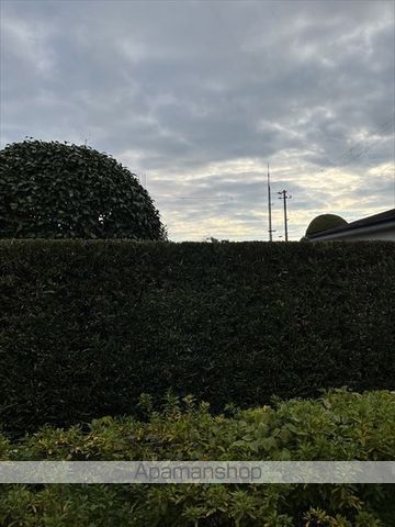 眺望　眺望