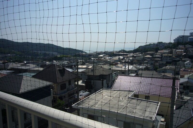 眺望　とっても見晴らしの良い眺望ですね！！