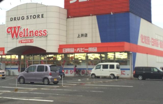 その他　ドラッグストアウェルネス上井店（その他）まで1706m