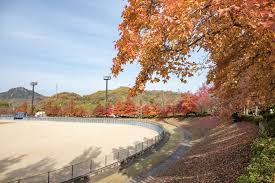 公園　因島運動公園（公園）まで2716m