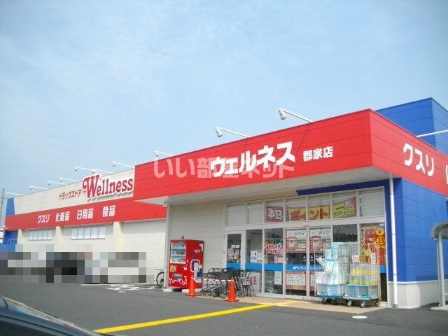 ドラックストア　ドラッグストアウェルネス 郡家店（ドラッグストア）まで788m