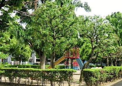 公園　中青木公園（公園）まで672m