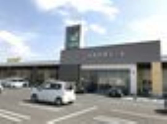 スーパー　ヨークマートもねの里店（スーパー）まで744m