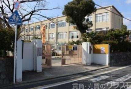 小学校　伏見板橋小学校（小学校）まで806m