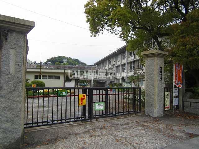 小学校　櫛ヶ浜小学校（小学校）まで584m