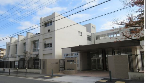 小学校　大阪市立井高野小学校（小学校）まで279m