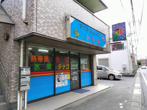 その他　アクアショップトトロ（その他）まで678m