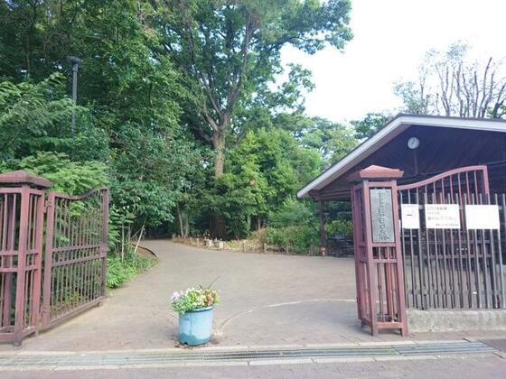 公園　目白の森（公園）まで141m