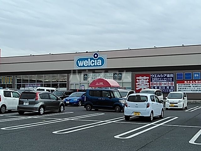 ドラックストア　ウエルシア宇都宮テクノポリス店（ドラッグストア）まで1121m