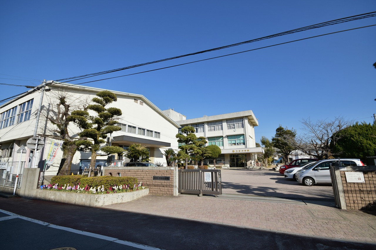 小学校　熊本市立力合小学校（小学校）まで790m