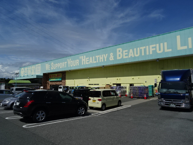 ドラックストア　杏林堂　新居店（ドラッグストア）まで327m