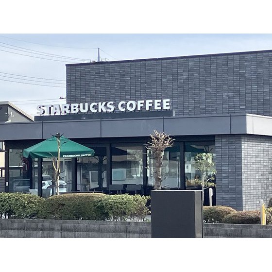 飲食店　スターバックスコーヒー　前橋元総（飲食店）まで260m