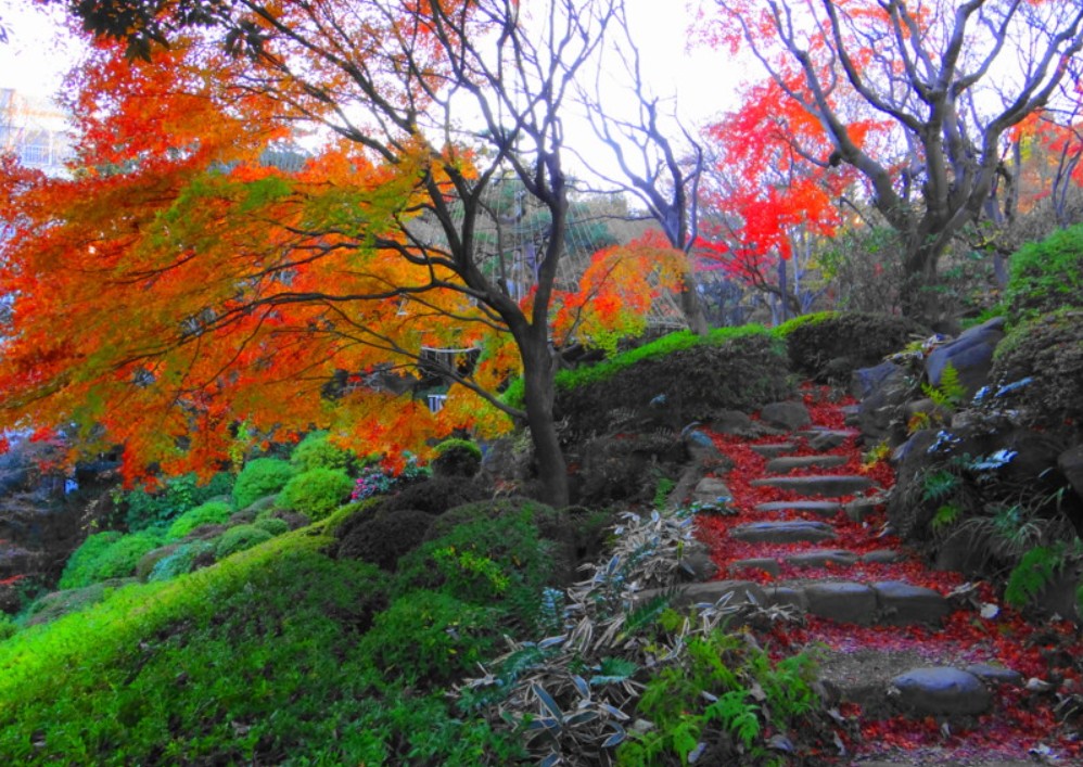 公園　池田山公園（公園）まで676m
