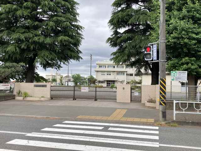 小学校　相模原市立向陽小学校（小学校）まで515m
