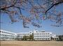 小学校　名古屋市立道徳小学校（小学校）まで435m