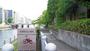 公園　芝浦運河沿緑地（公園）まで799m