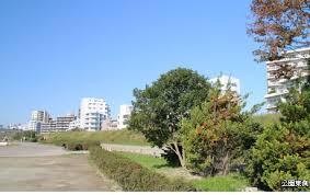 公園　多摩川大橋緑地（公園）まで3201m