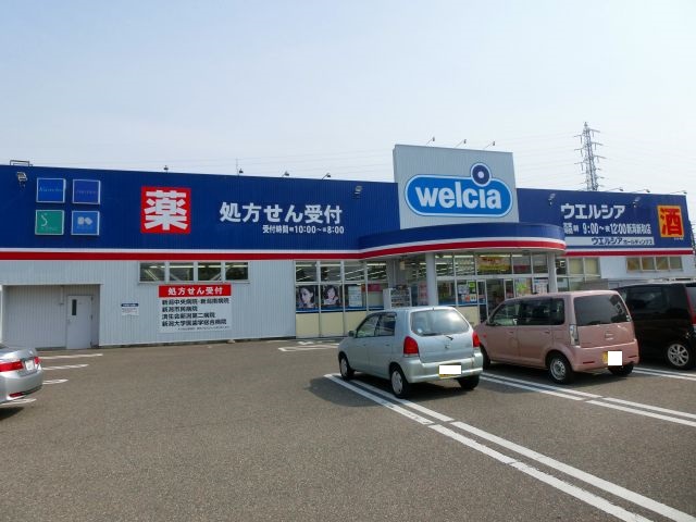 ドラックストア　ウエルシア新潟新和店（ドラッグストア）まで635m