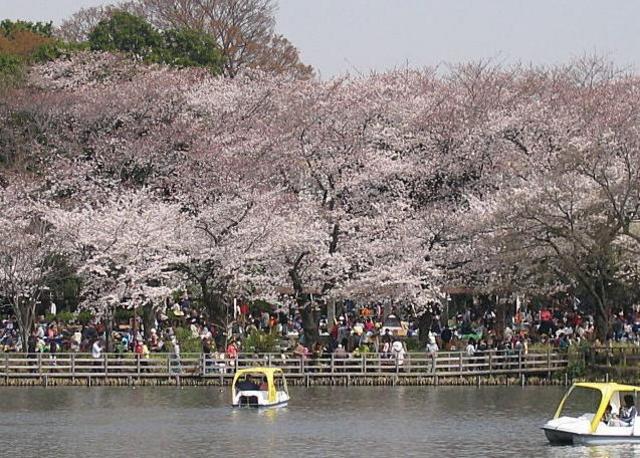 公園　洗足池（公園）まで939m
