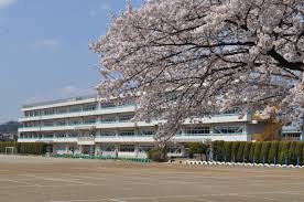 小学校　飯能市立富士見小学校（小学校）まで591m