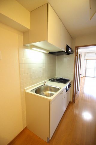 キッチン　（別タイプ参考写真）TRADIS  NIPPORI  E　荒
