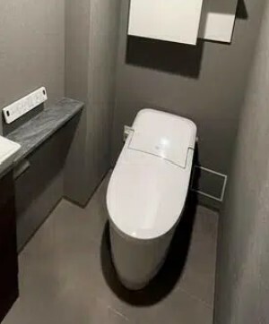 トイレ　※別部屋参考画像