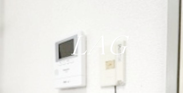 セキュリティ　モニター付きインターホンです。