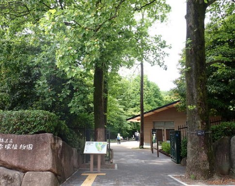 公園　赤塚植物園（公園）まで2670m
