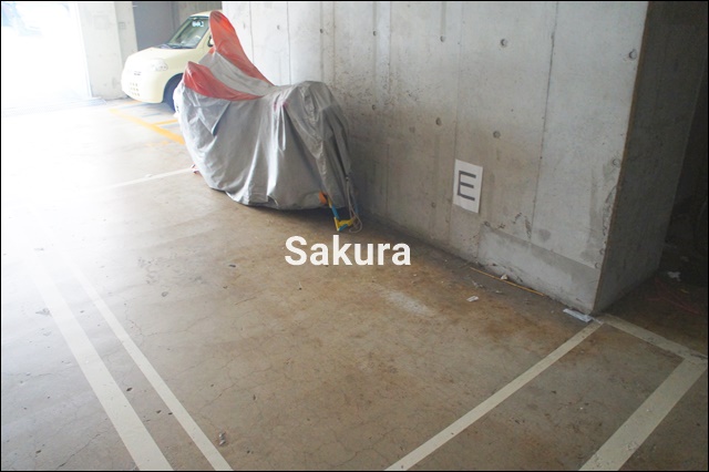 その他共有部分　管理の行き届いた共用部分♪