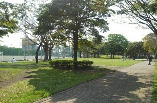公園　大岡公園（公園）まで100m