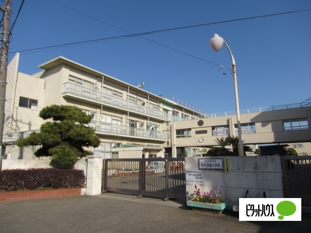 小学校　習志野市立大久保東小学校（小学校）まで732m