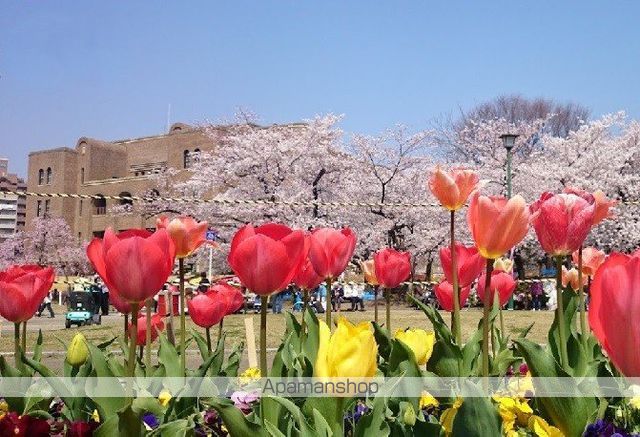 公園　鶴舞公園（公園）まで1812m