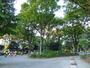 公園　代々木大山公園（公園）まで1376m