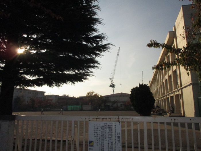 小学校　新城小学校（小学校）まで310m